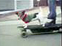 skateboarding-russell-terrior-thumb.jpg