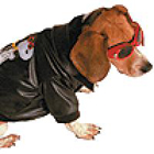 snoopy-dog-costume.jpg