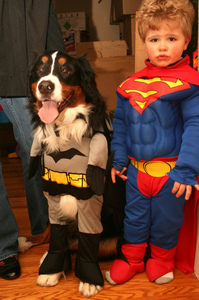 superman-and-batman-costumes-for-kids-and-dogs-by-3Neus.jpg