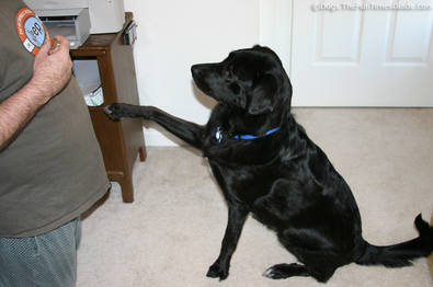 tenor-giving-jim-his-toes.jpg