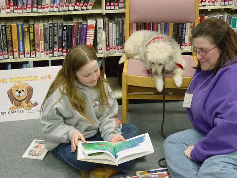 http://dogs.thefuntimesguide.com/images/blogs/therapy-dog-helps-kids-read-by-ShereeK.jpg