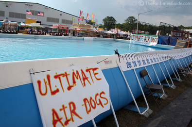 ultimate-air-dogs-pool.jpg