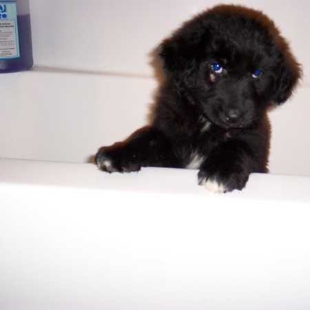 Destin's first bath.