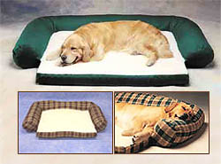 Corry's Couch Dog Bed