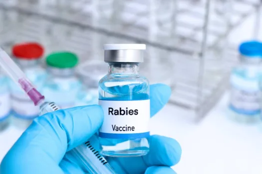 Believe it or not, the only difference between the 1-year Rabies vaccine vs. the 3-year Rabies vaccine is the label on the bottle! Here's what you need to know...