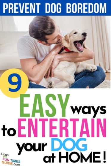 9 easy ways to entertain your dog at home - indoors, outside, and while you're at work