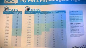 See how your dog's physical age (number of years alive) compares to your dog's physiological age (physical abilities based on your dog's size and weight).