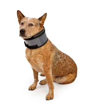 This dog recovery collar is similar to the BiteNot collar for dogs.