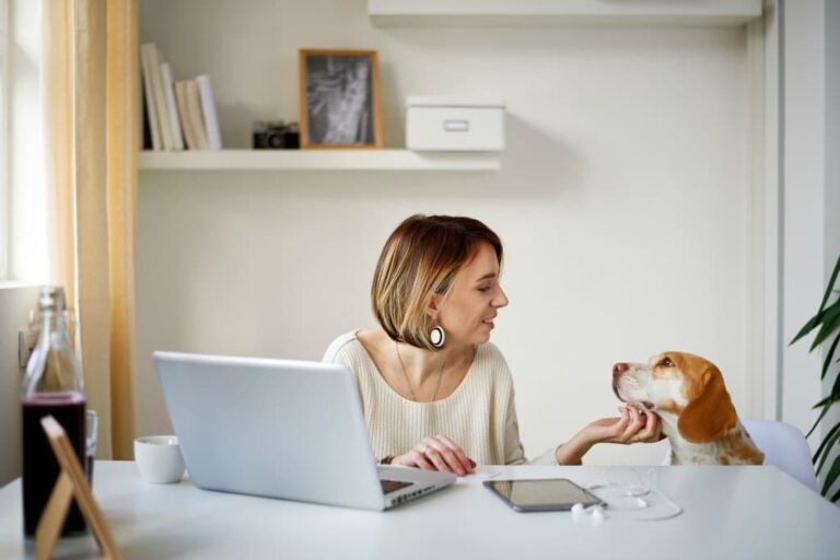 What Are Good Apartment Dogs? The Best Dog Breeds For Apartments + Tips