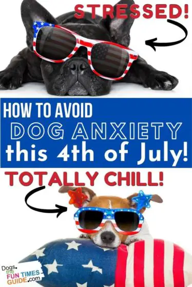How to avoid dog anxiety from fireworks this Fourth of July
