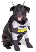 batman-dog-halloween-costume.jpg