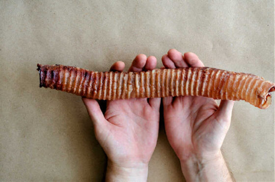 stuffed trachea for dogs