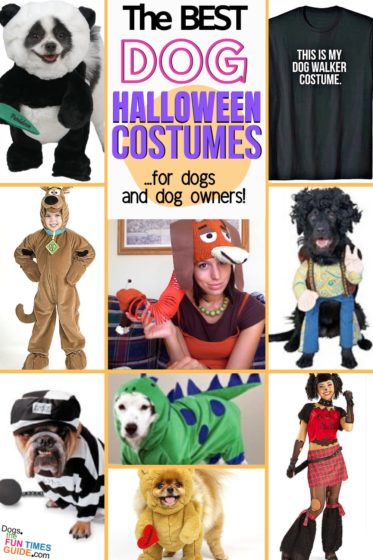 The best dog Halloween costumes for dogs AND dog owners!