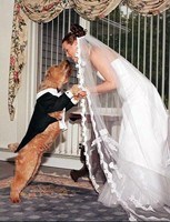 best-dog-wedding-picture.jpg