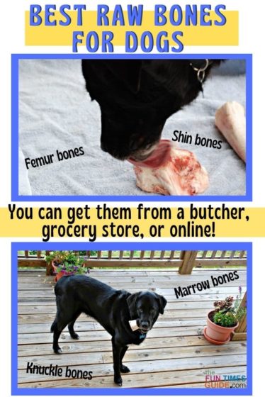 A list of all the best raw bones for dogs that you can buy at a butcher shop, grocery store, or online.