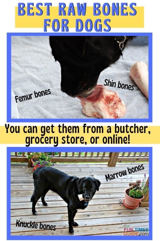Best Raw Bones For Dogs (That Won't Splinter And Are Safest For Dogs