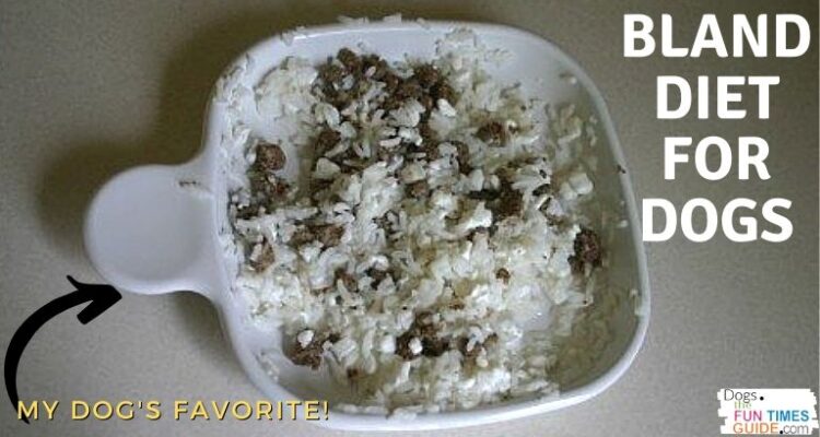 A bland diet is a simple DIY dog diarrhea treatment. Give your dog rice and cottage cheese. (Here, I've added a few pellets of my dog's food, so he knows it's safe for him to eat it.) 