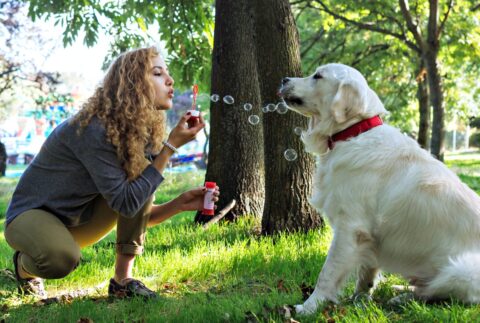 Some dogs like to chase the bubbles, some like to eat them, others just like the feeling of bubbles popping on their nose!