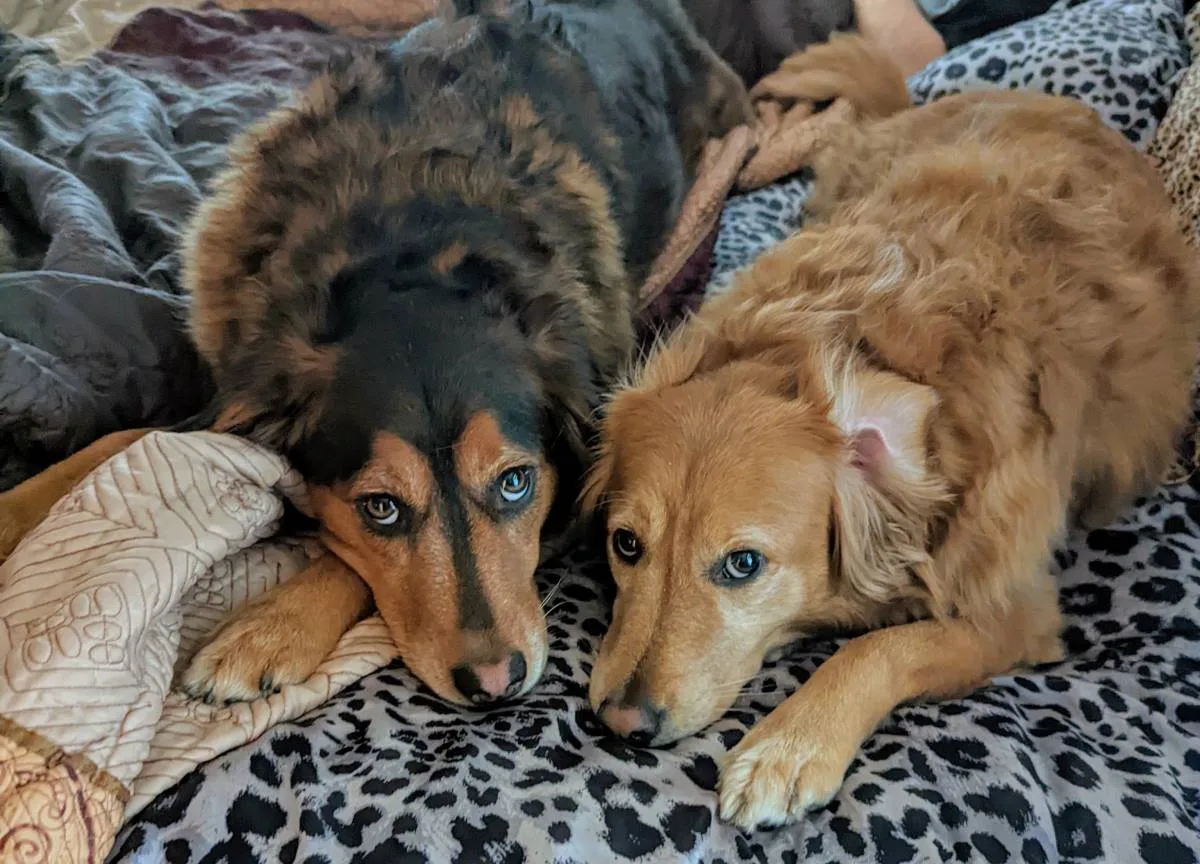 These two are my best prayers yet!
