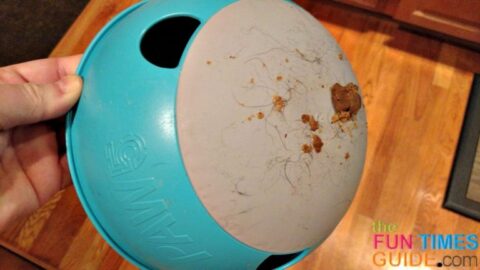 This is the bottom of my dog's Rock 'n Bowl after 20 minutes or so. photo by Lynnette at TheFunTimesGuide.com bottom-of-slow-feed-dog-bowl
