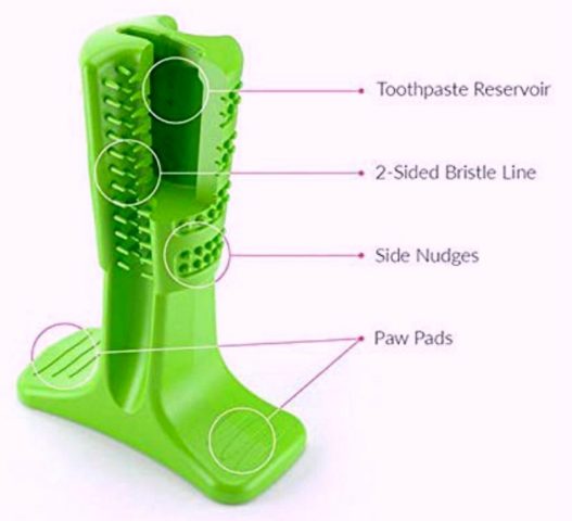 These are the key features of the Bristly dog toothbrush toy