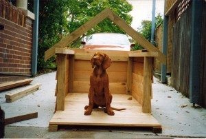 building-a-dog-house