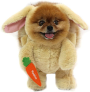 Bunny rabbit dog costume