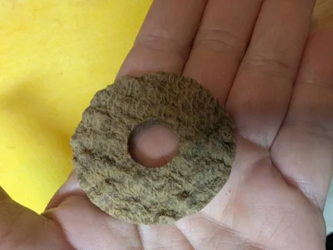 This is a circular hard dog chew that was intended to be used with the Busy Buddy Bristle Bone dog chew toy. photo by Lynnette at TheFunTimesGuide.com This is a circular hard dog chew that was intended to be used with the Busy Buddy Bristle Bone dog chew toy.
