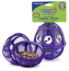 busy buddy kibble nibble dog toy