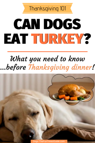 Can dogs eat turkey for Thanksgiving Dinner?