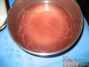 canine-heartworms-removed