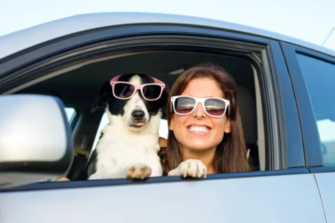 Most of these dog vacation ideas start with a car ride... that could easily be turned into a fun road trip with your dog!