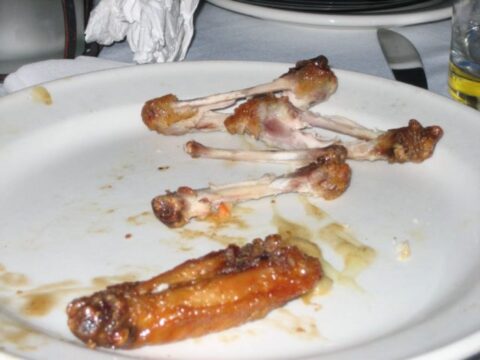 Can dogs eat chicken bones? NO! Here's what to do if your dog eats chicken bones