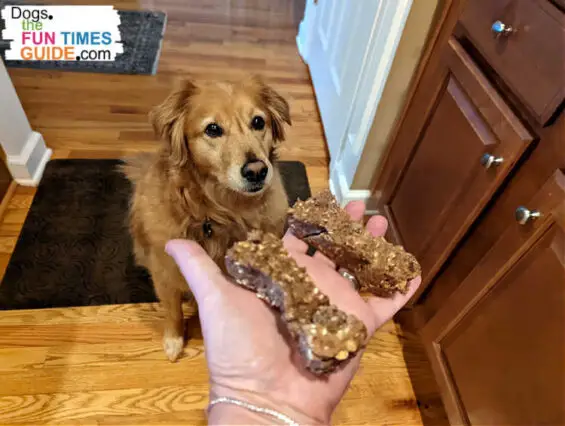 My dog looking at 2 of the thick & chewy homemade dog treats I made using the Cooper's Treats meaty pre-made DIY mixes.