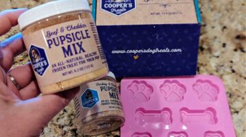 DIY Pupsicle Dog Treats: Easy Frozen Treats for Your Pup