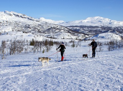 couple-skijoring-by-randihausken.jpg