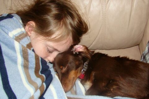 dotson dogs are good with kids
