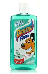 dental-fresh-dog