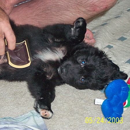 Destin getting his belly brushed by Jim.