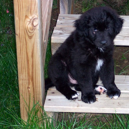 Destin sitting on the bottom step.