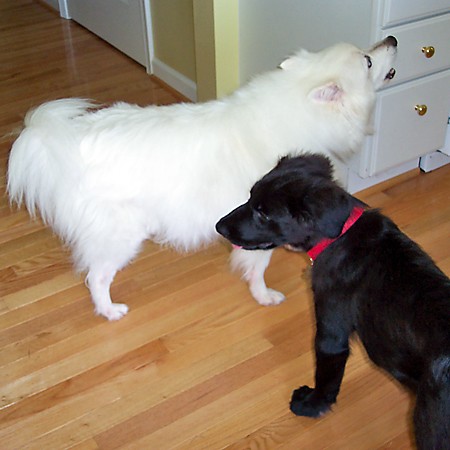 Jersey letting Destin stand near him in HIS kitchen.