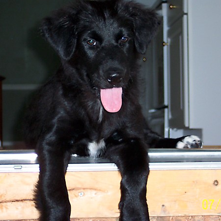 Destin on the step with his toes hanging over.