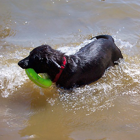 Destin with his new favorite toy.