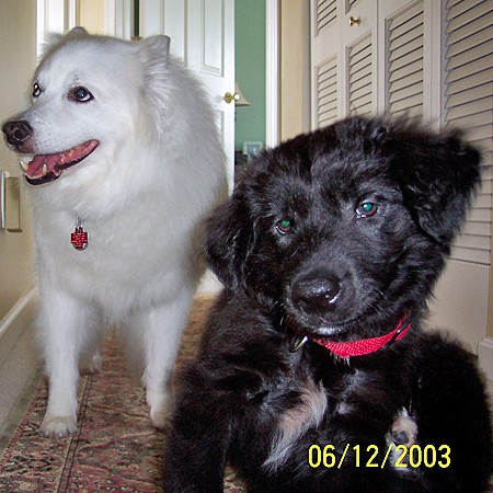 Destin and Jersey in the hallway.