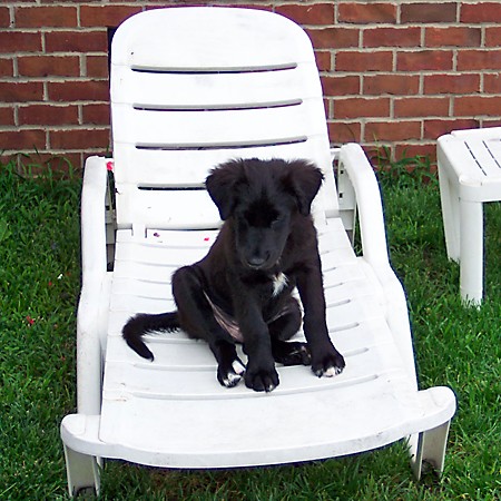 Destin sitting in the lounge chair out back.