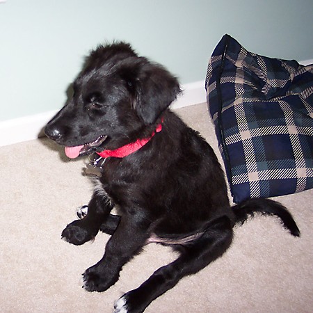 Destin sitting next to his bed.