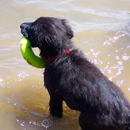 Destin playing with his new water toy.