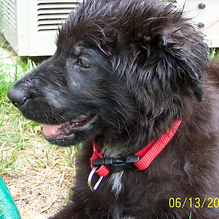 Destin's all wet from playing in the hose.