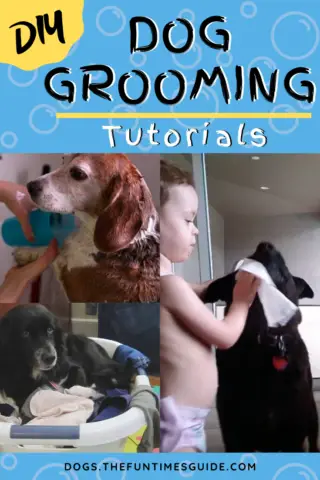 DIY Dog Grooming Tutorials