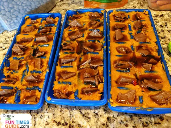 These are DIY Pumpkin Pupsicles with some of the beef chunks I pulled from a can of wet dog food on the top!